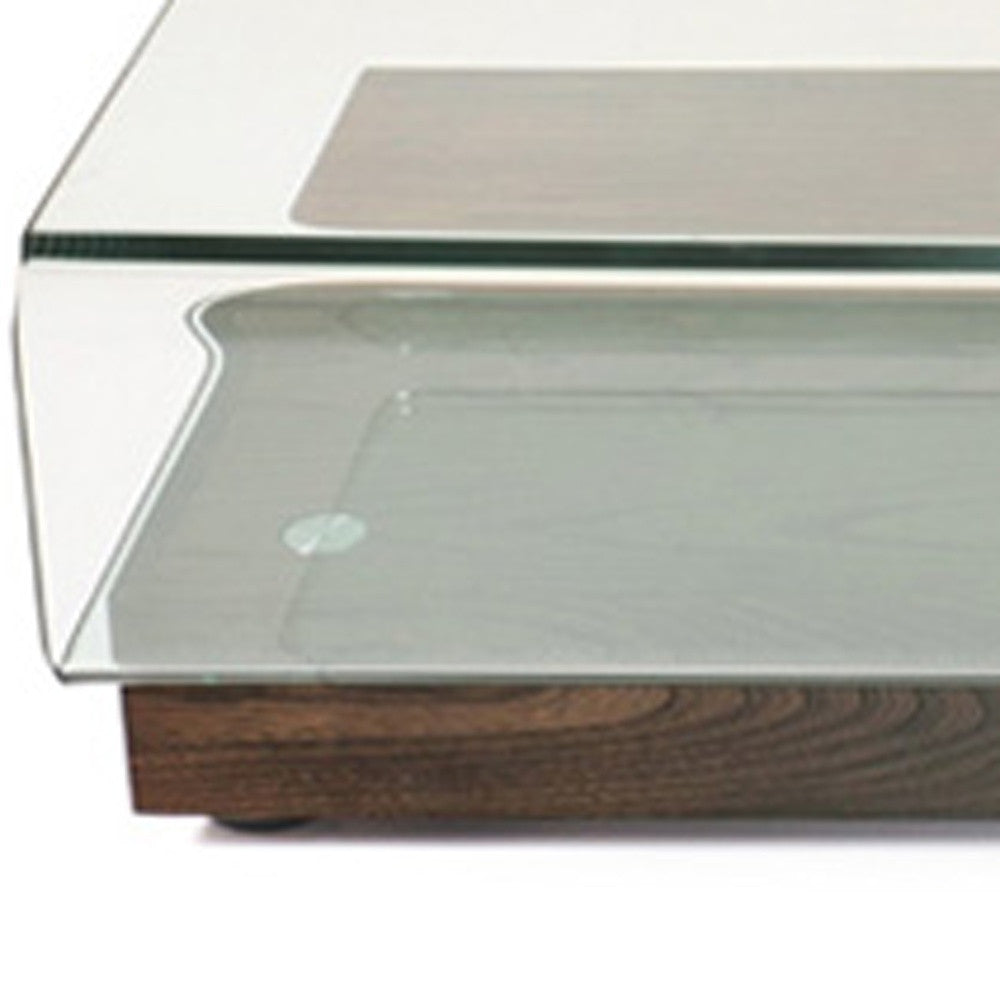 Elm Veneer & Glass Coffee Table