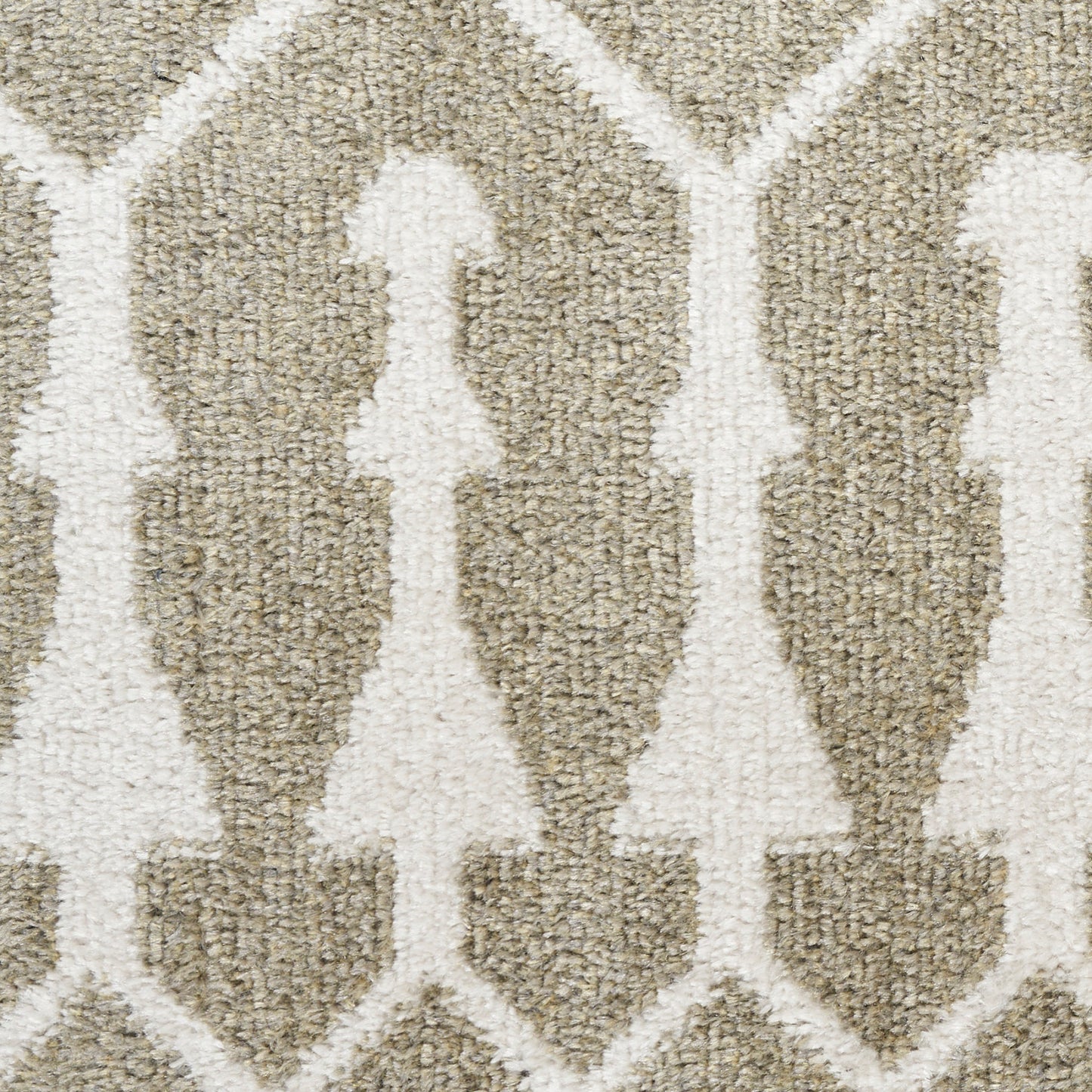 Nourison Astra Sage Pet Friendly Machine Washable Rug - Swatch