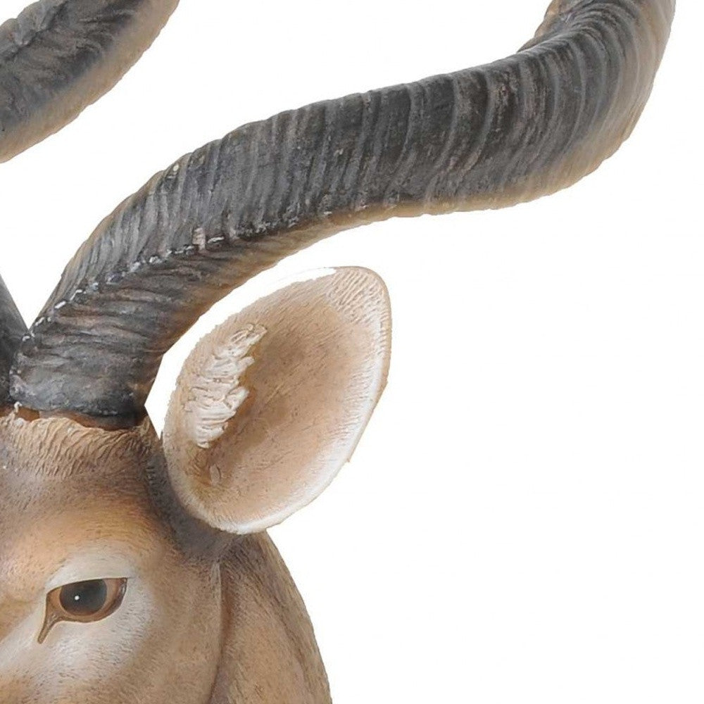 Antelope Head Wall Decorative