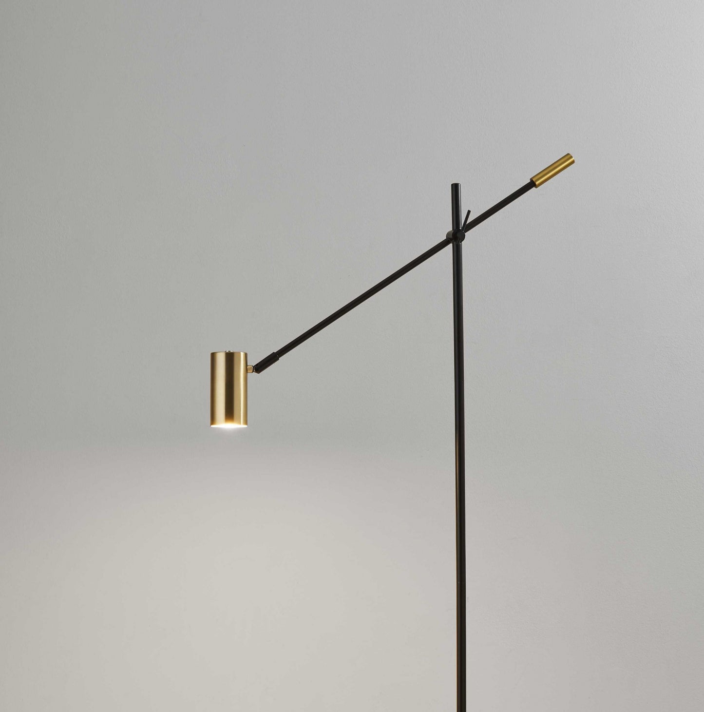 Black Adjustable Task Floor Lamp w/ Shade