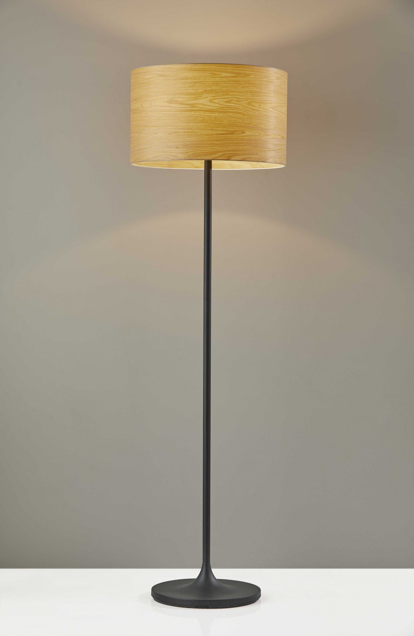 Black Floor Lamp w/ Shade