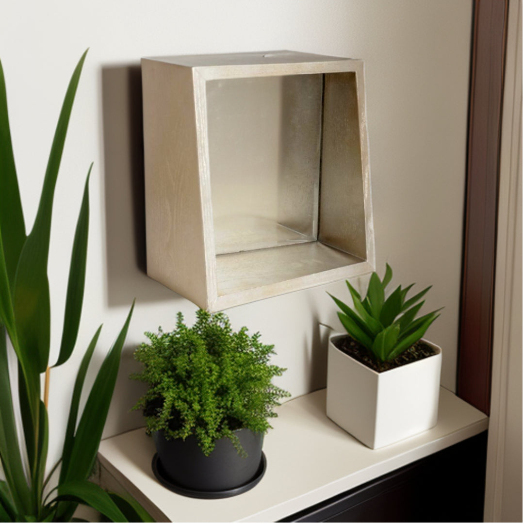 Champagne Wood Box Framed Accent Mirror