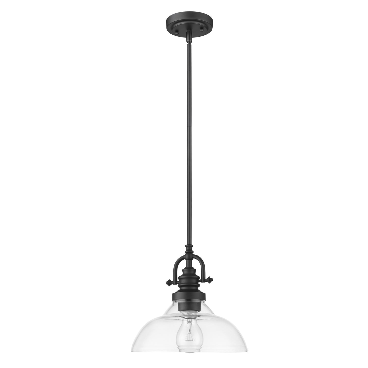Matte Black Hanging Light w/ Glass Shade