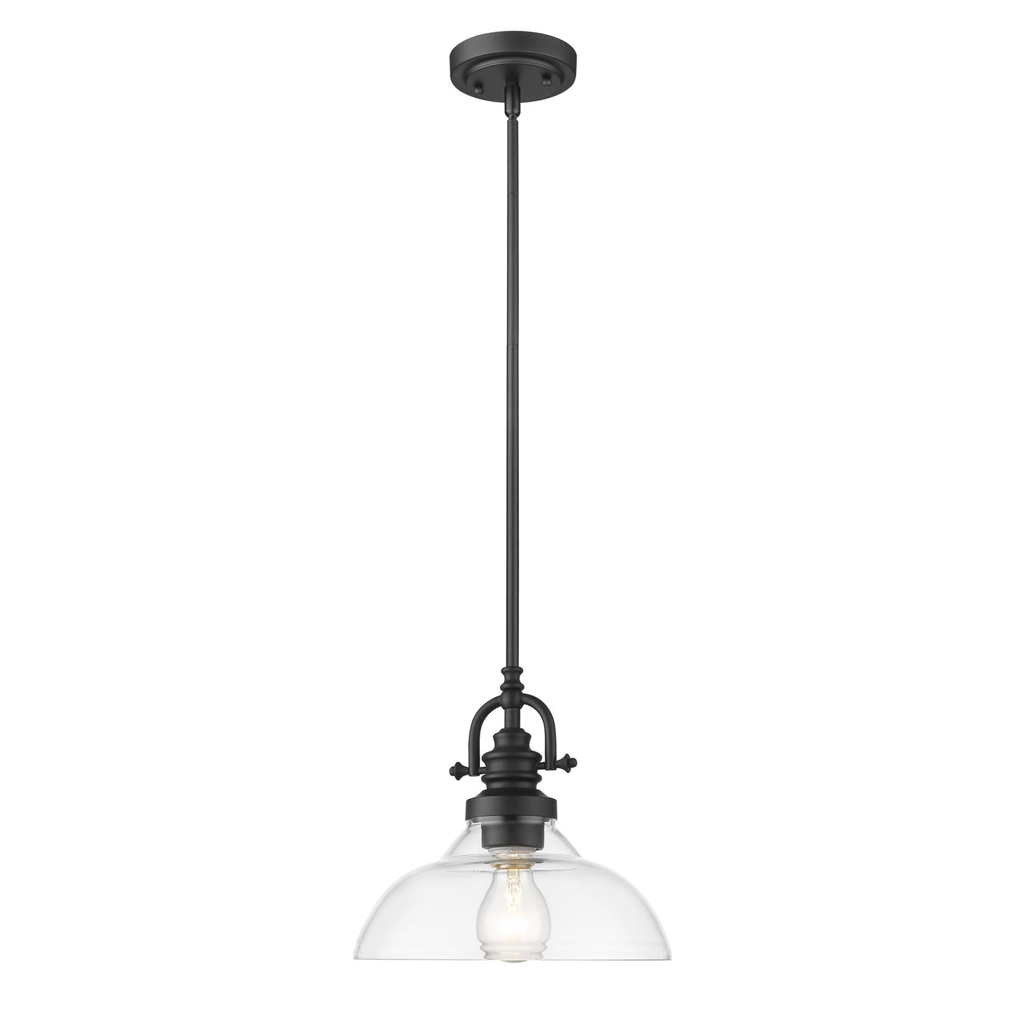 Matte Black Hanging Light w/ Glass Shade