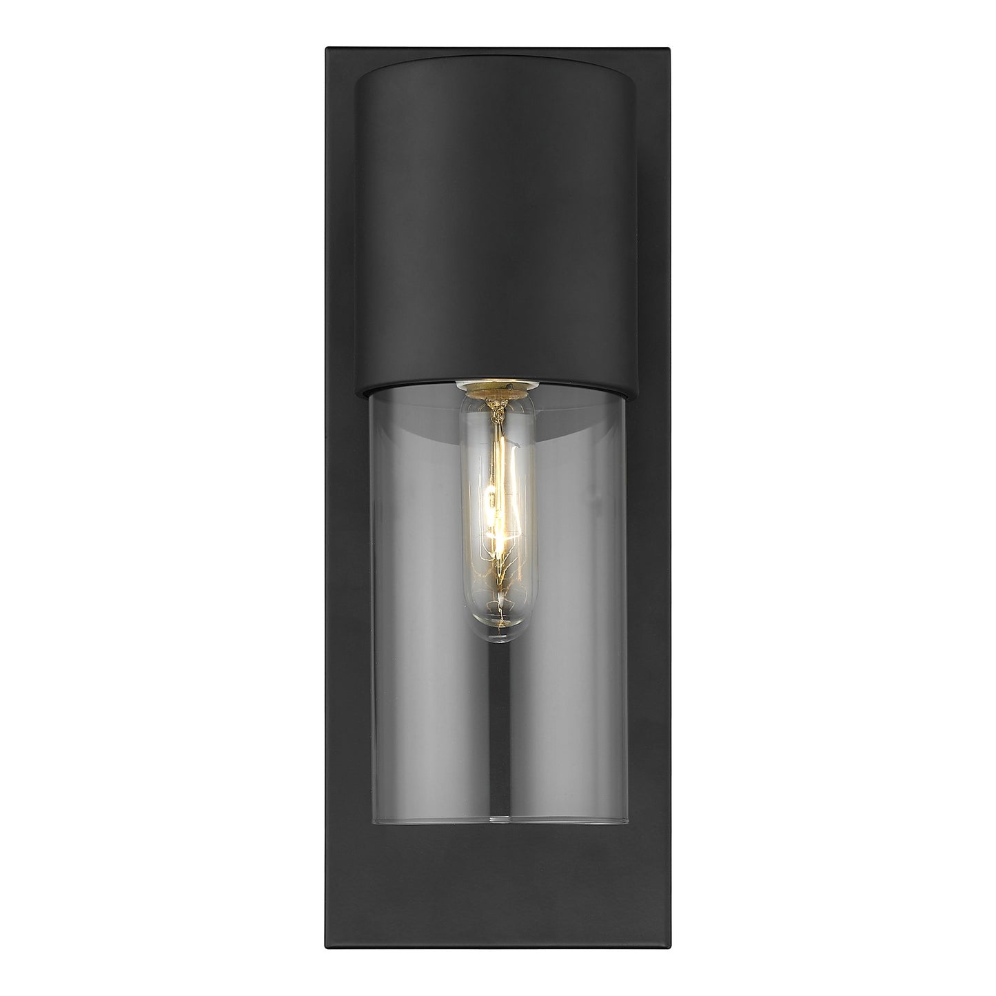 Contemporary Matte Black & Glass Wall Light
