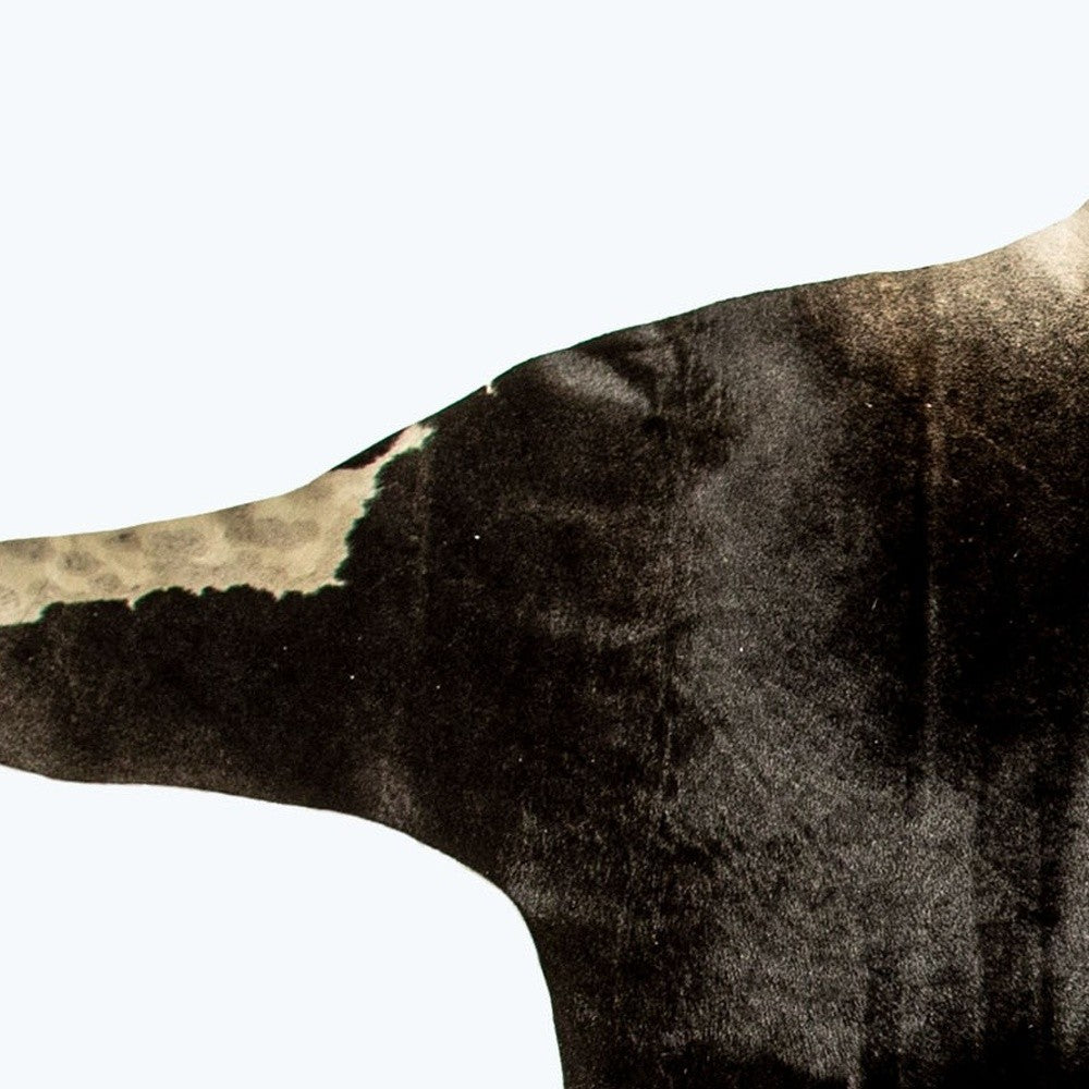 5 x 7 Grey Normande Cowhide Ombre Cowhide Handmade Rug