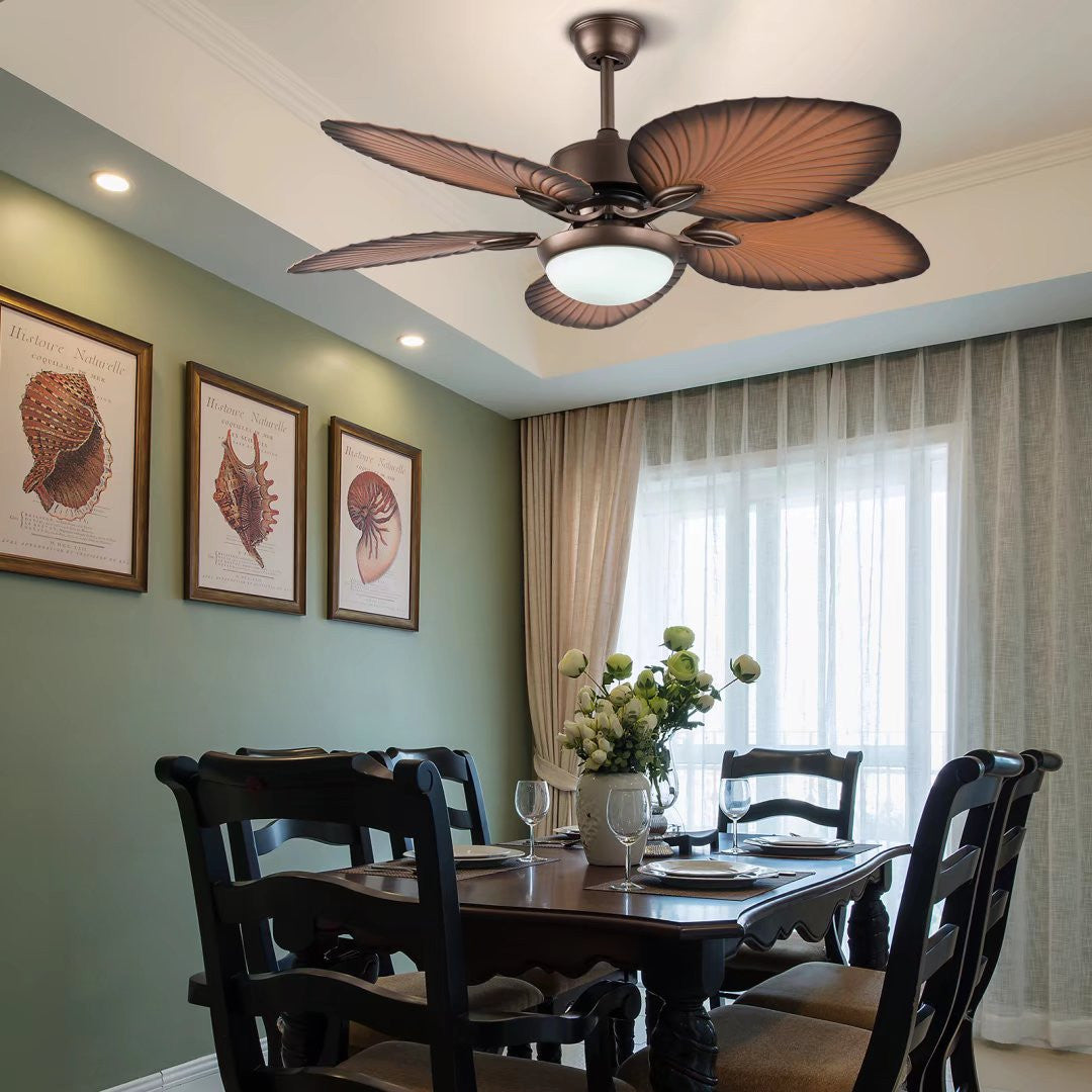Edna Ceiling Fan & Lamp