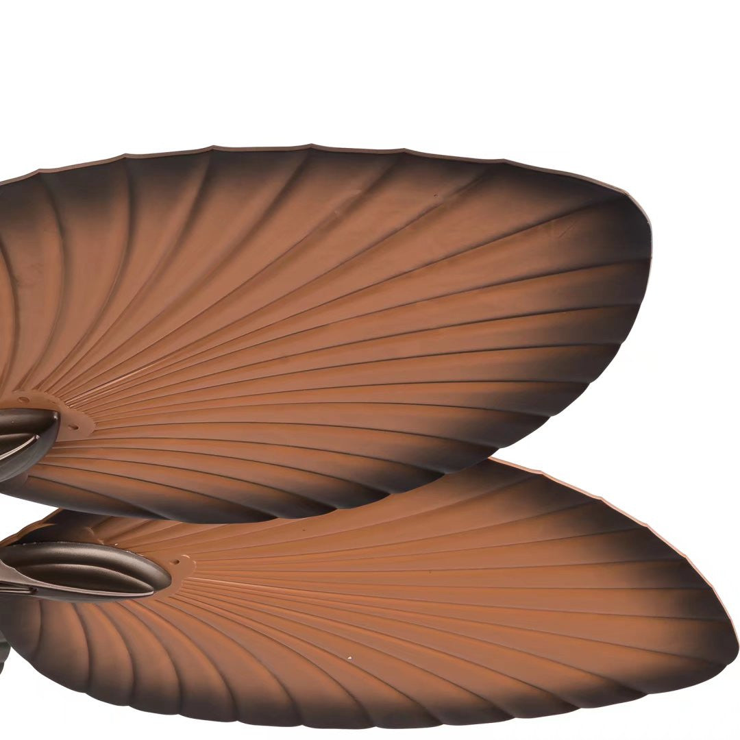 Edna Ceiling Fan & Lamp