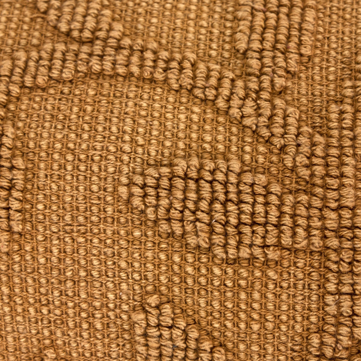 Pumpkin Botanical Cotton Pillow w/ Texture