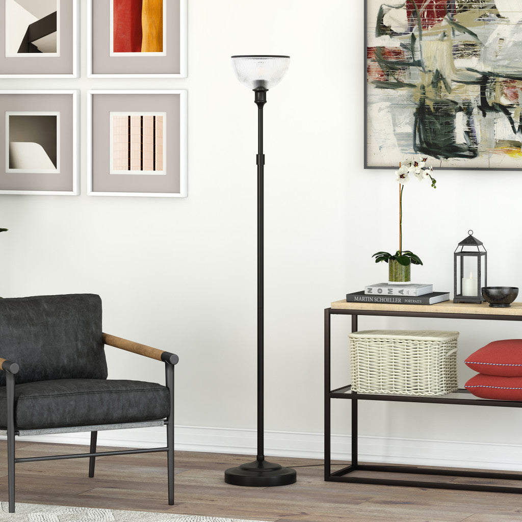 Black Floor Lamp w/ Clear Glass Shade