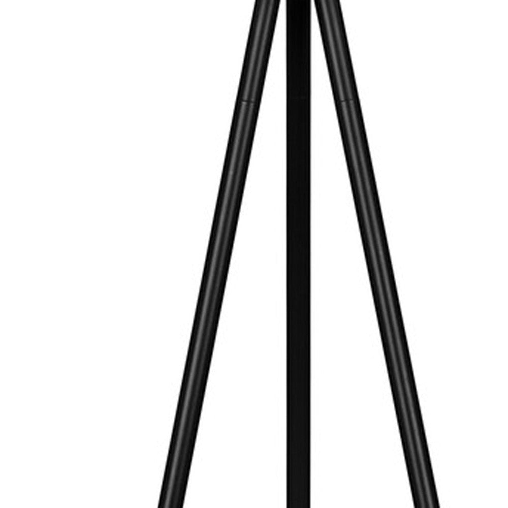 Matte Black Floor Lamp w/ Shade