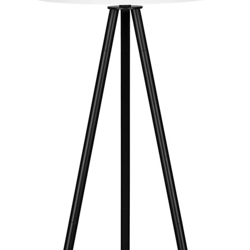 Matte Black Floor Lamp w/ Shade