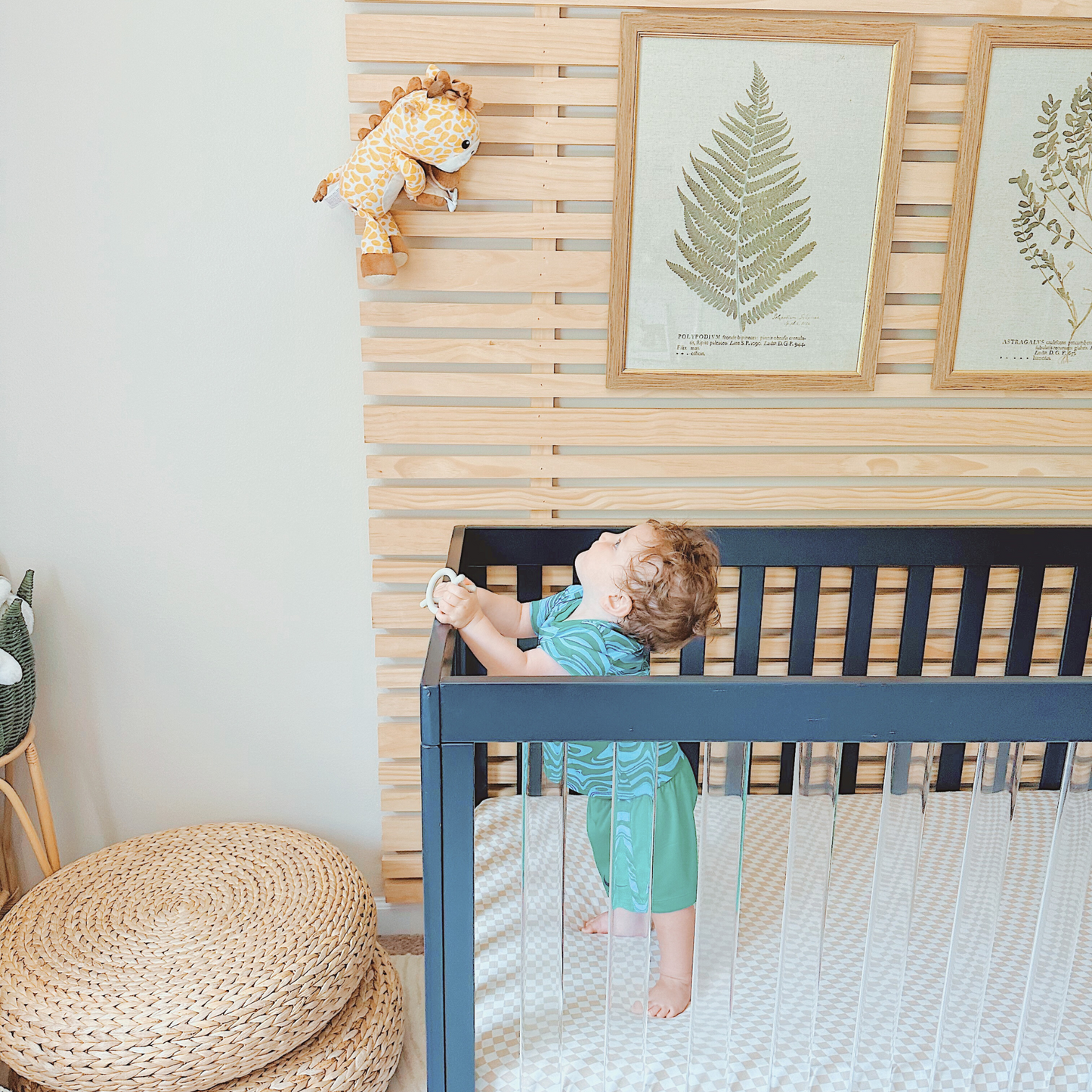Jordan Giraffe - zooby® baby monitor