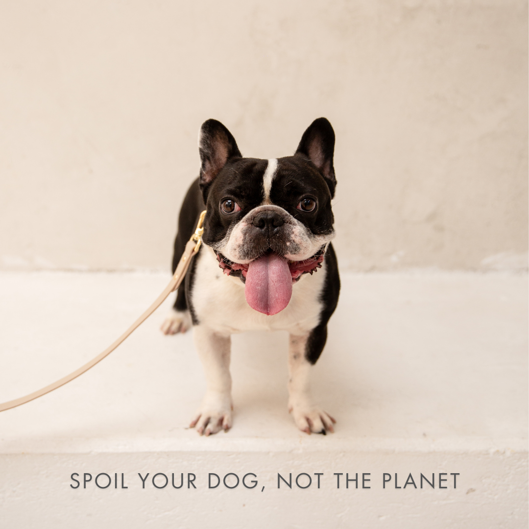 Vegan Leather Collar for Air Tag