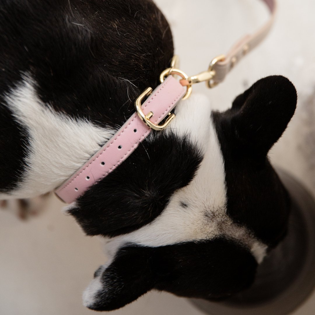 Vegan Leather Collar for Air Tag