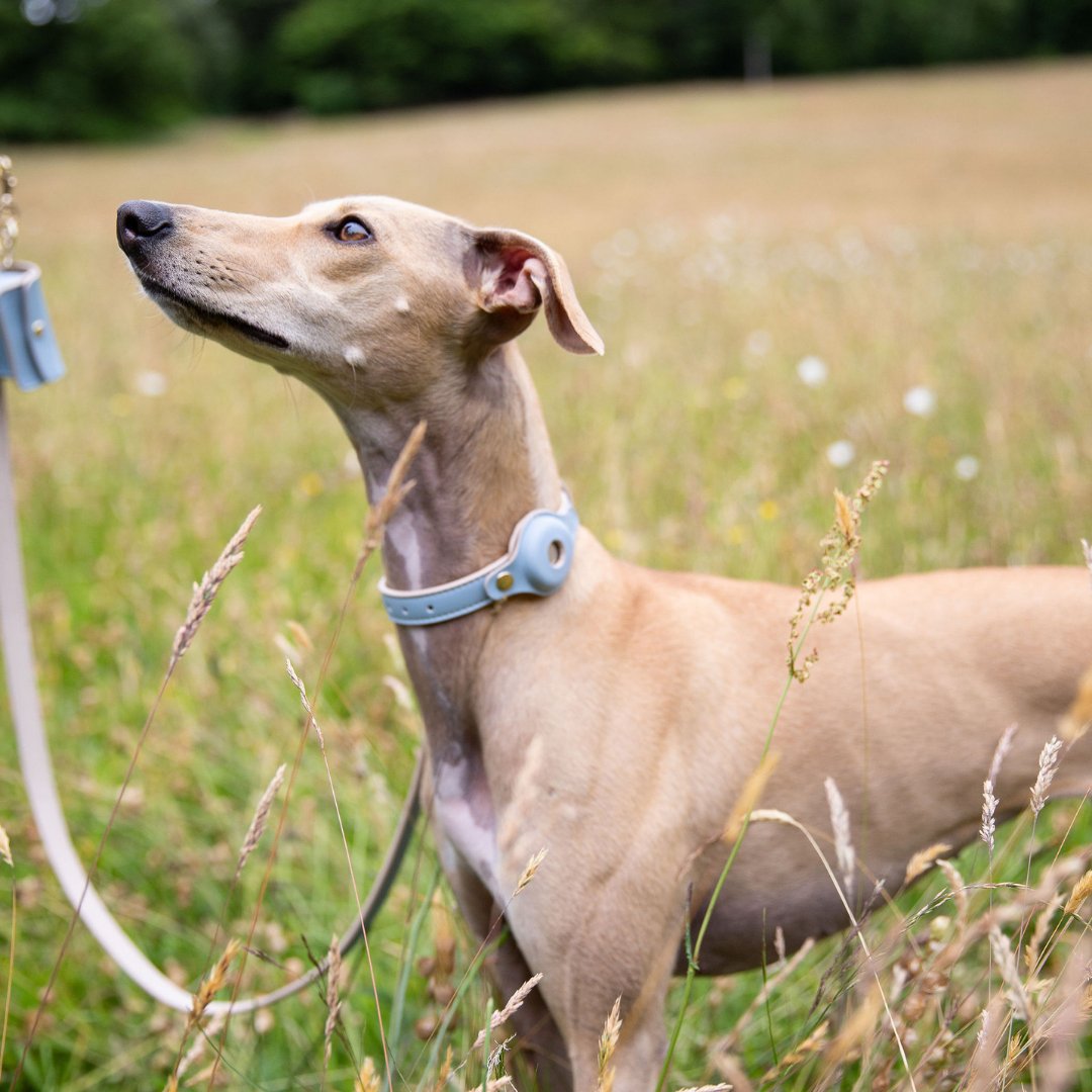 Vegan Leather Collar for Air Tag