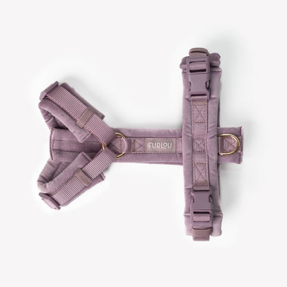 Velvet Dog Harness - Lilac