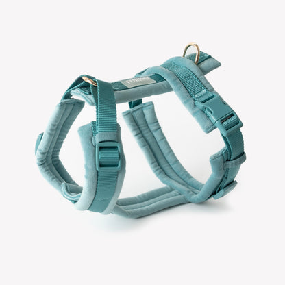 Velvet Dog Harness - Blue