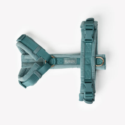 Velvet Dog Harness - Blue