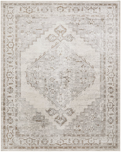 Nourison Astra Grey Pet Friendly Machine Washable Rug - Main