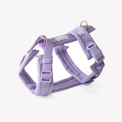 Comfort Dog Harness - Lavender