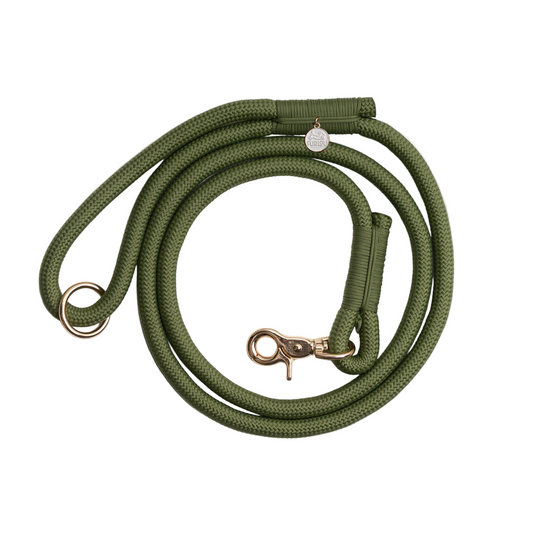 Braided Rope Leash - Green
