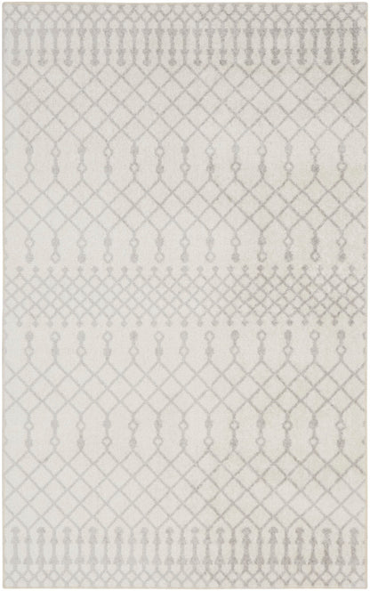 Nourison Astra Ivory Pet Friendly Machine Washable Rug - 2'2" x 4'