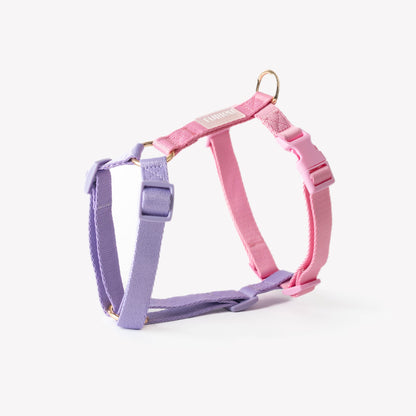 Dog Harness - Lavender & Pink