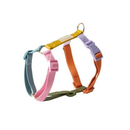 Dog Harness - Rainbow