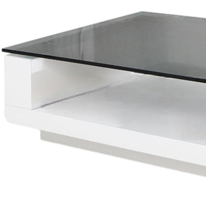 Glass Steel & Mdf Coffee Table