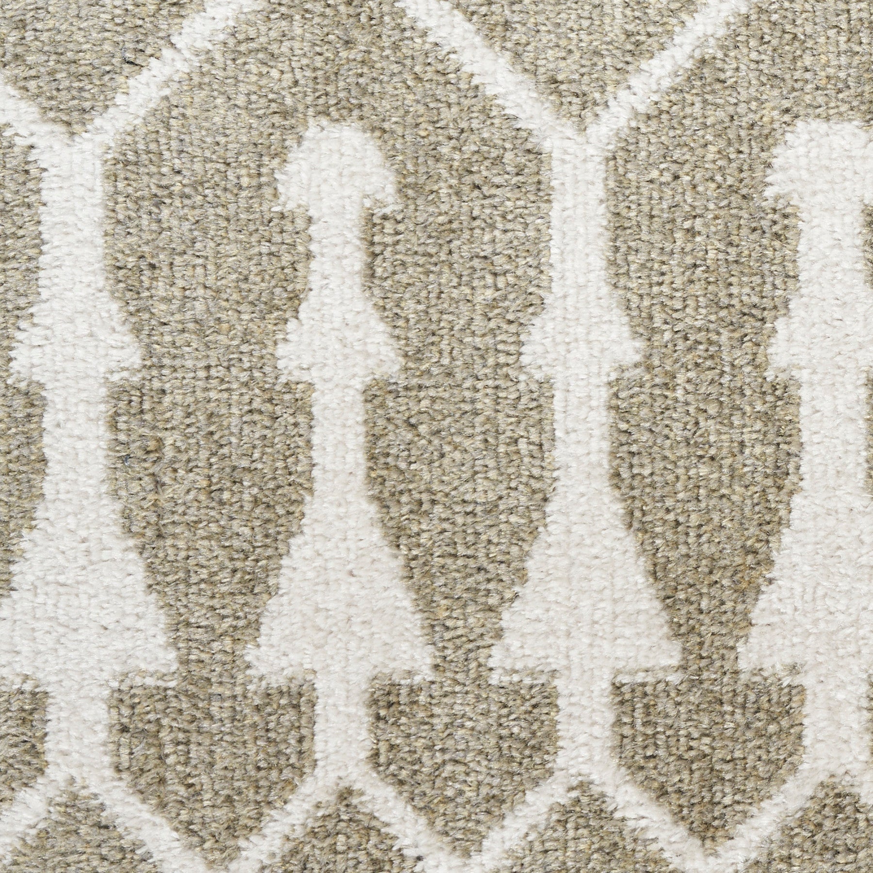 Nourison Astra Sage Pet Friendly Machine Washable Rug - Swatch