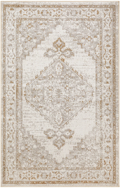 Nourison Astra Grey Pet Friendly Machine Washable Rug - 3'3" x 5'