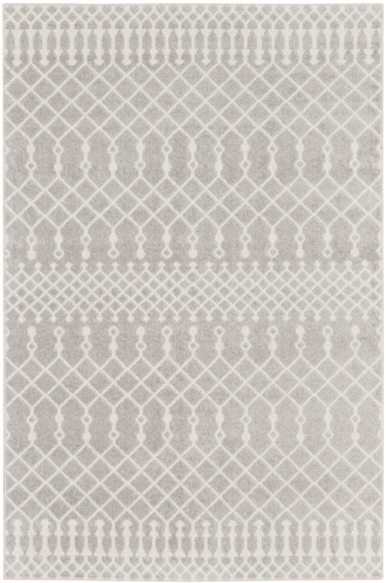 Nourison Astra Grey Pet Friendly Machine Washable Rug - 2'2" x 4'
