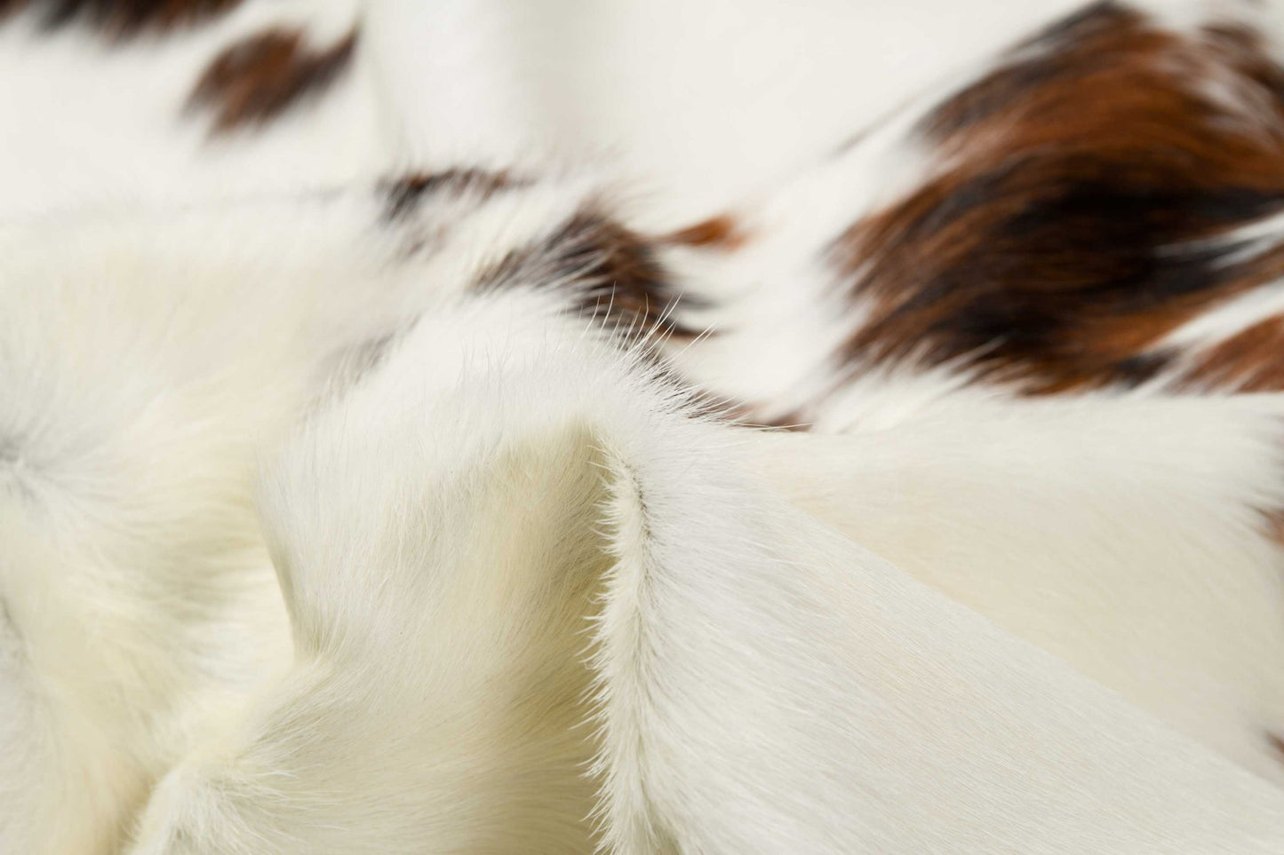 5 x 7 Tricolor Cowhide Rug