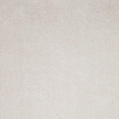 8 x 10 Ivory Indoor Shag Rug