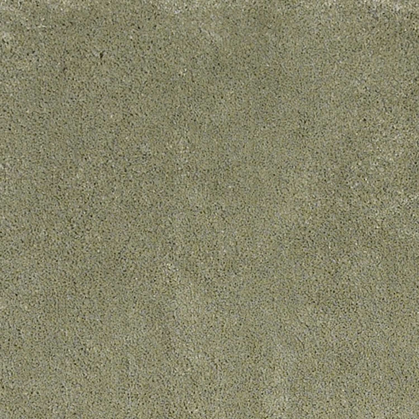 8 x 10  Polyester Sage Rug