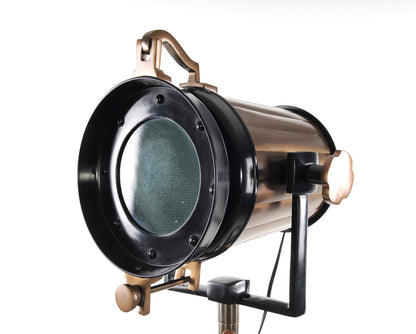 Alum Steel Spot Light Wood Stand Textured Glass