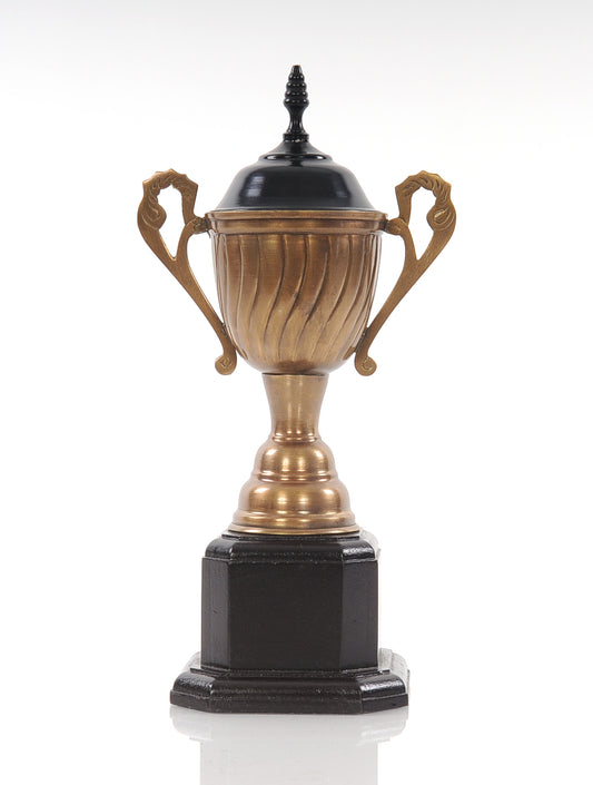 Alum Wooden Trophy Big