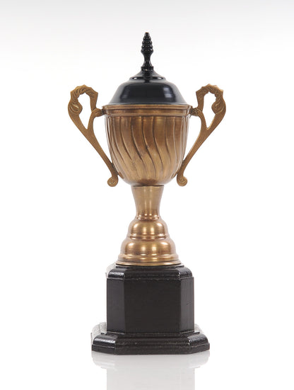 Alum Wooden Trophy Big