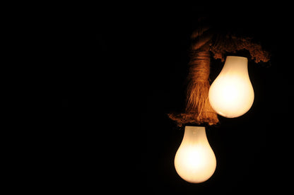 Rope Two Bulbs Pendant Light