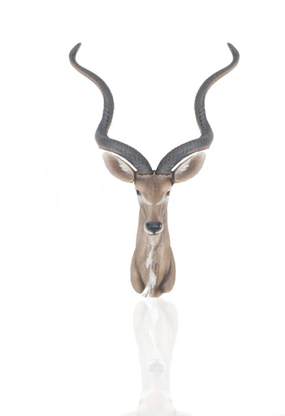 Antelope Head Wall Decorative