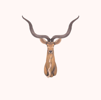 Antelope Head Wall Decorative