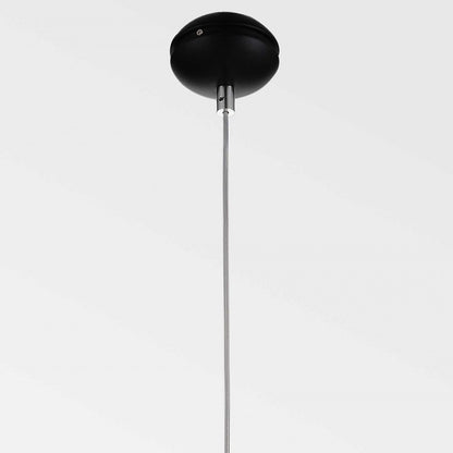 Stainless Steel Pendant Light