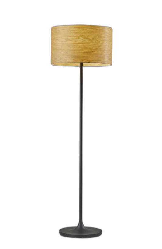 Black Floor Lamp w/ Shade
