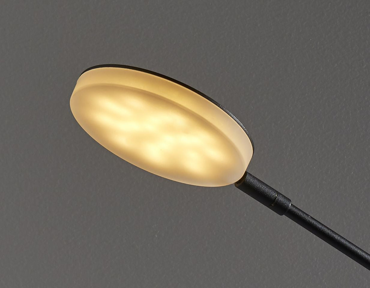 Three Color Adjustable Floor Lamp Black Saucer Led