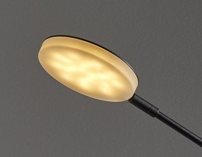 Three Color Adjustable Floor Lamp Black Saucer Led