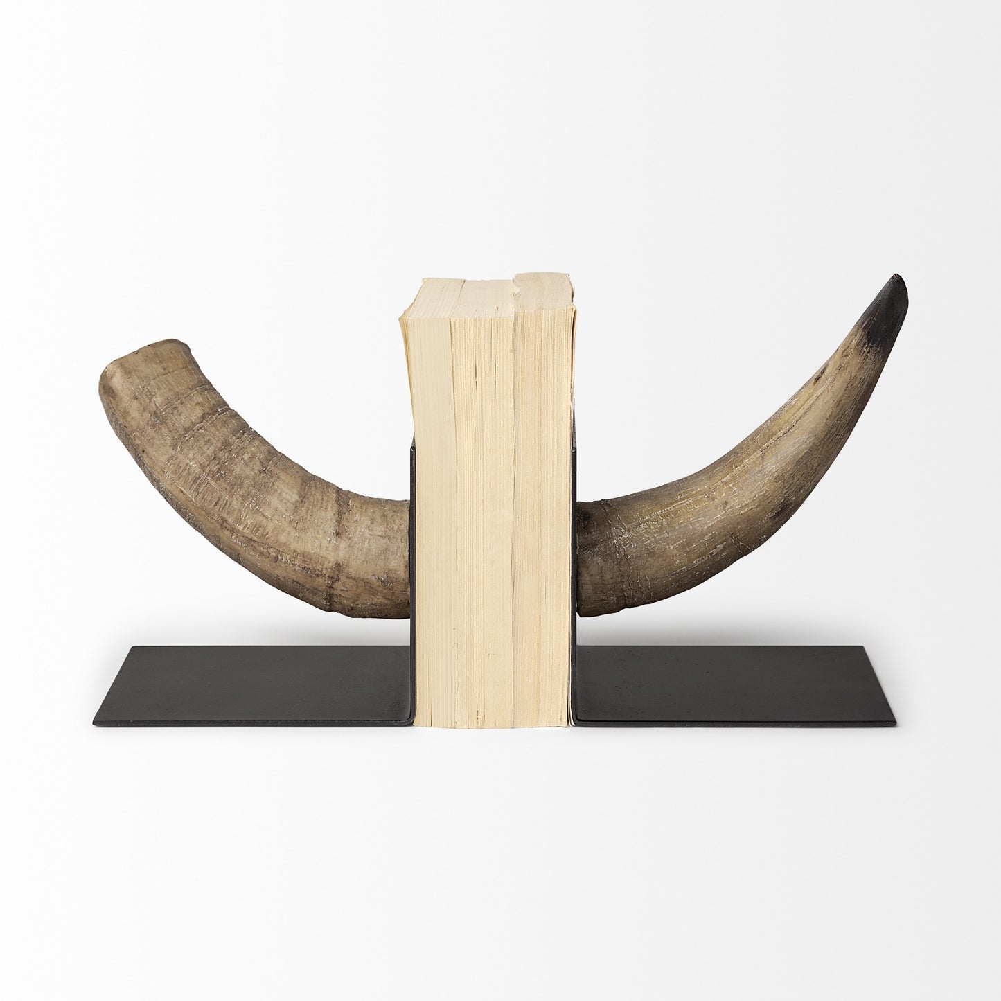 Brown & Black Ceramic Horn Decorative Bookends