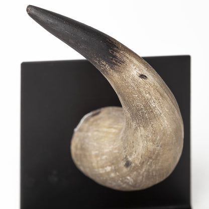 Brown & Black Ceramic Horn Decorative Bookends