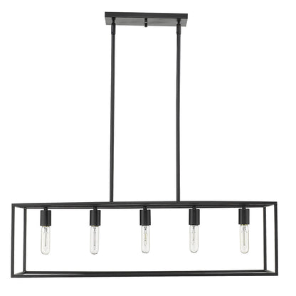 Black 5 Light Ceiling Light