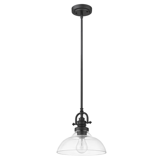 Matte Black Hanging Light w/ Glass Shade
